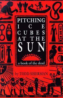 Todd Sherman - Pitching Ice Cubes at the Sun, Häftad