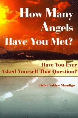Ulrike Sabine Mandigo - How Many Angels Have You Met?, Häftad