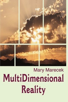 Mary Marecek - MultiDimensional Reality, Häftad