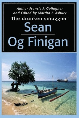 bokomslag Sean Og Finigan