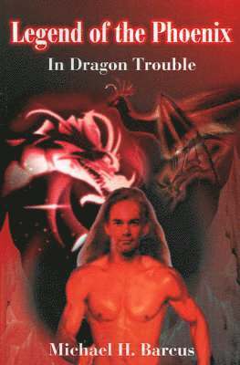 bokomslag In Dragon Trouble