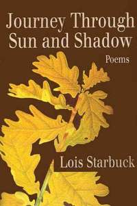bokomslag Journey Through Sun and Shadow