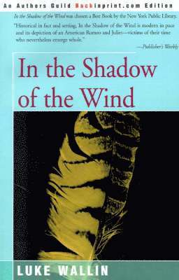 In the Shadow of the Wind 1