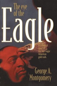 bokomslag The Eye of the Eagle