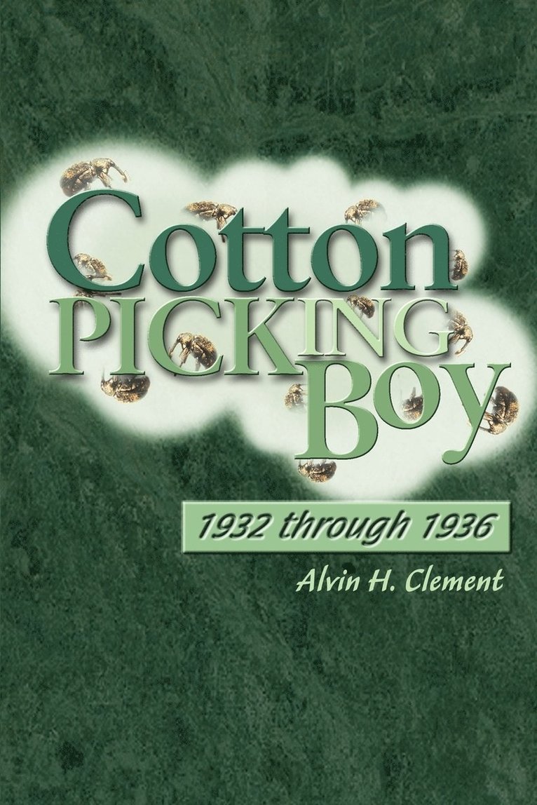 Cotton Picking Boy 1