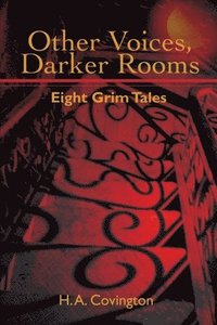 bokomslag Other Voices, Darker Rooms