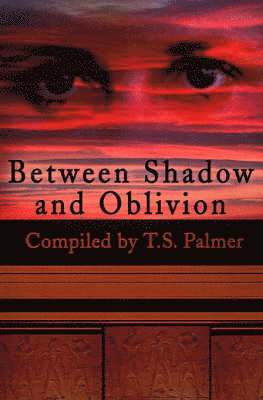 bokomslag Between Shadow and Oblivion