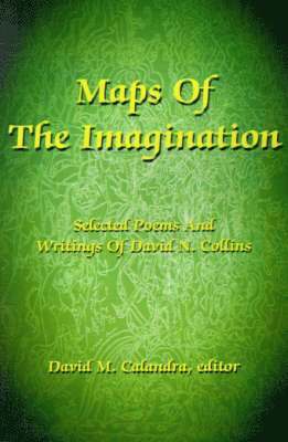 bokomslag Maps of the Imagination