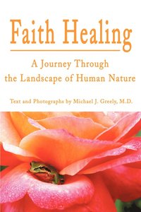 bokomslag Faith Healing