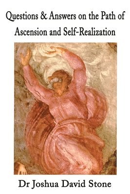 bokomslag Questions & Answers on the Path of Ascension and Self-Realization