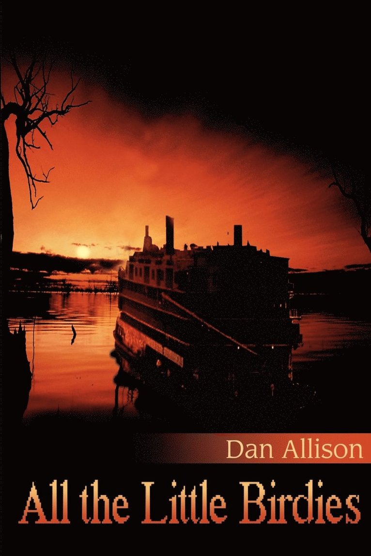 Dan Allison - All the Little Birdies, Häftad