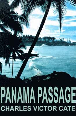 bokomslag Panama Passage