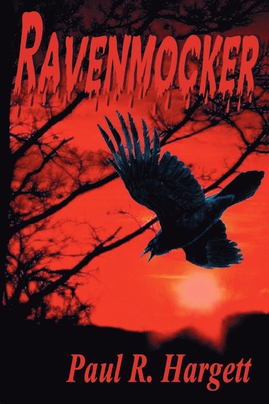 bokomslag Ravenmocker