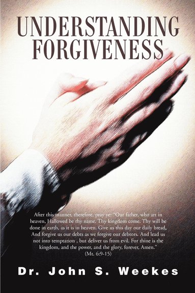 bokomslag Understanding Forgiveness