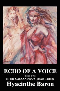 bokomslag Echo of a Voice