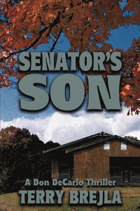 bokomslag Senator's Son