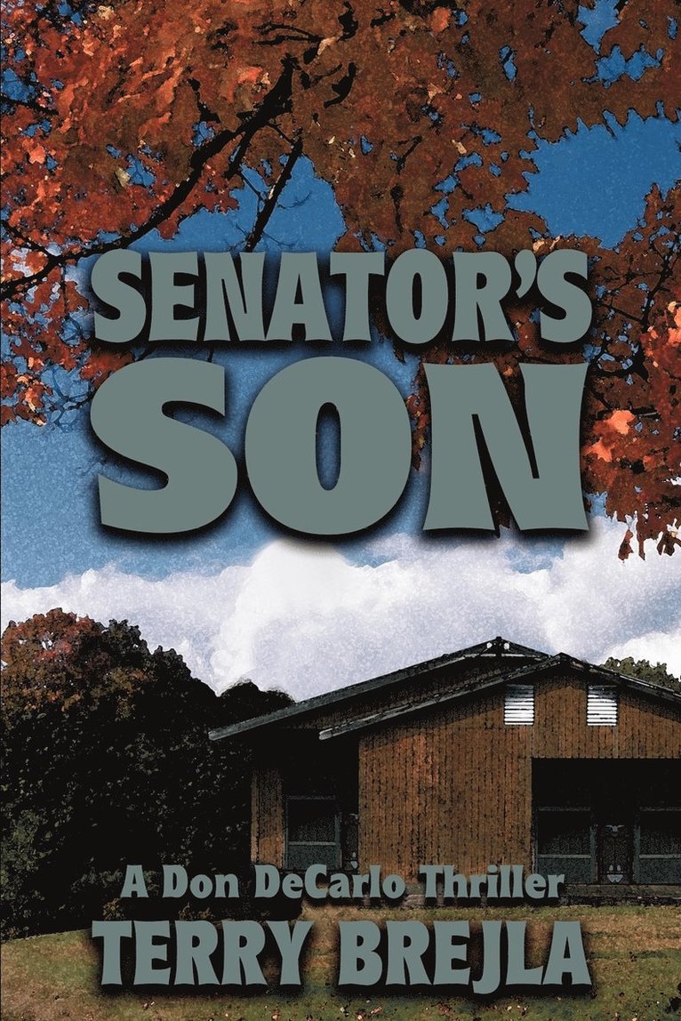 Senator's Son 1