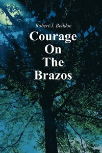 bokomslag Courage on the Brazos