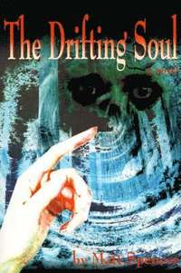 bokomslag The Drifting Soul