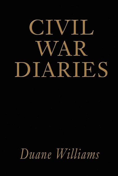 bokomslag Civil War Diaries