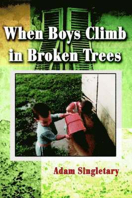 Adam L Singletary, Adam L. Singletary - When Boys Climb in Broken Trees, Häftad