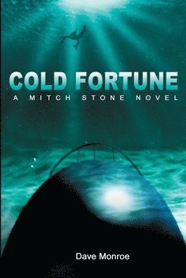 bokomslag Cold Fortune