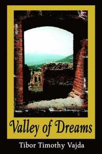 bokomslag Valley of Dreams