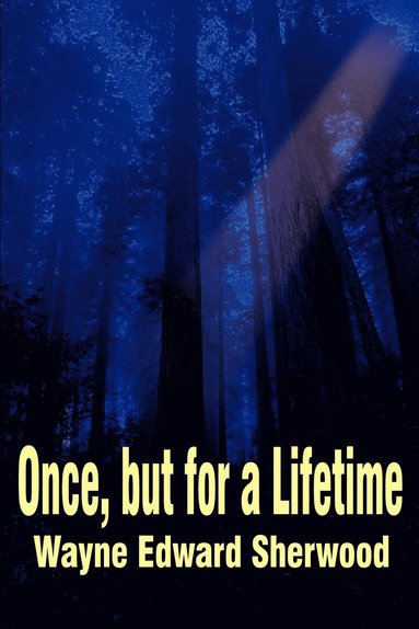 Wayne E Sherwood - Once, but for a Lifetime, Häftad