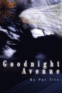 bokomslag Goodnight Avenue
