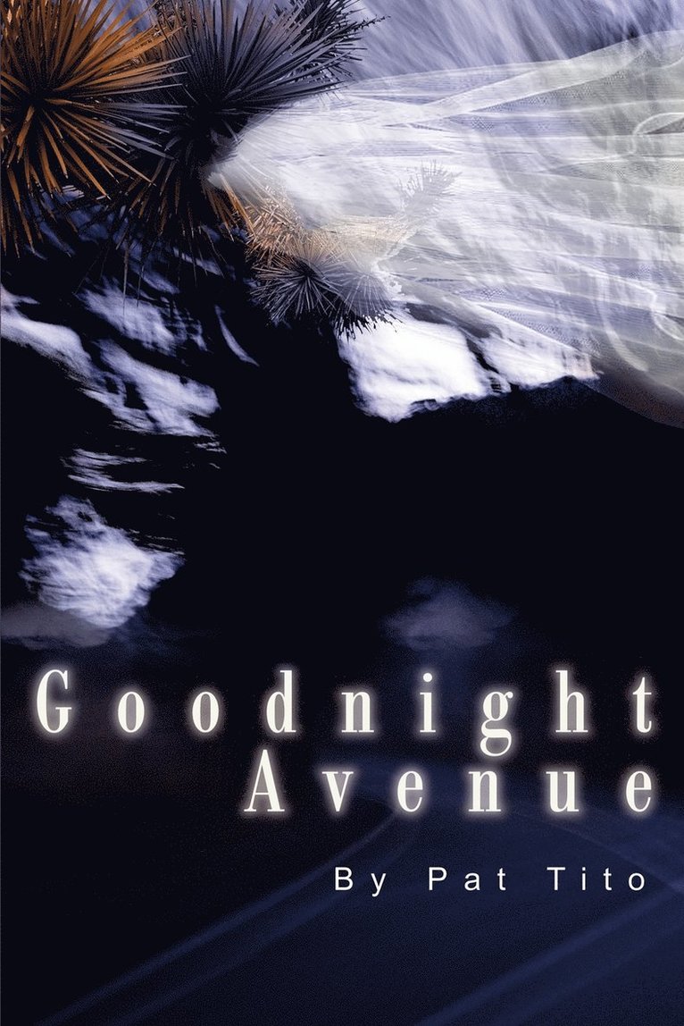 Goodnight Avenue 1