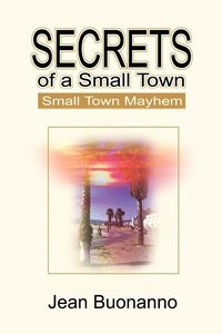 bokomslag Secrets of a Small Town