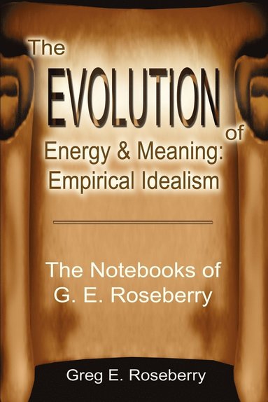 bokomslag Evolution of Energy and Meaning