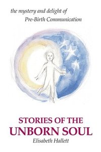 bokomslag Stories of the Unborn Soul