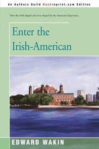 bokomslag Enter the Irish-American