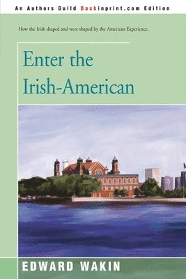 bokomslag Enter the Irish-American