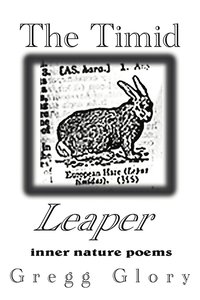 bokomslag The Timid Leaper