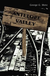 bokomslag Antelope Valley