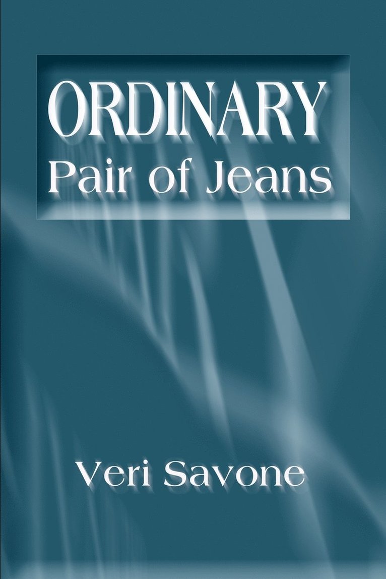 Ordinary Pair of Jeans 1