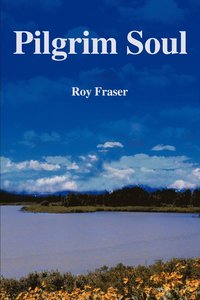 bokomslag Pilgrim Soul
