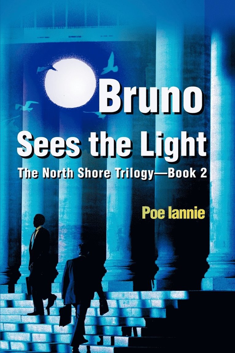 Poe Iannie - Bruno Sees the Light, Häftad