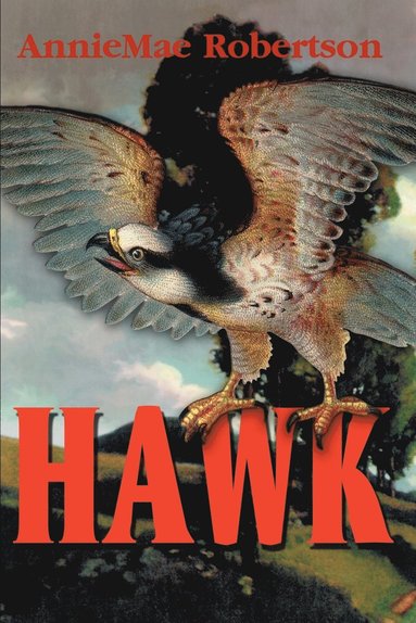 bokomslag Hawk