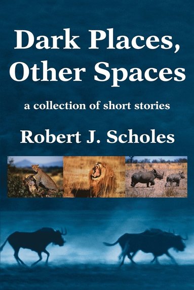 Robert J Scholes - Dark Places, Other Spaces, Häftad