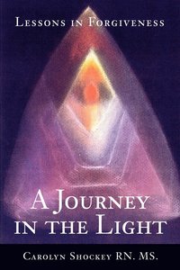 bokomslag Journey in the Light