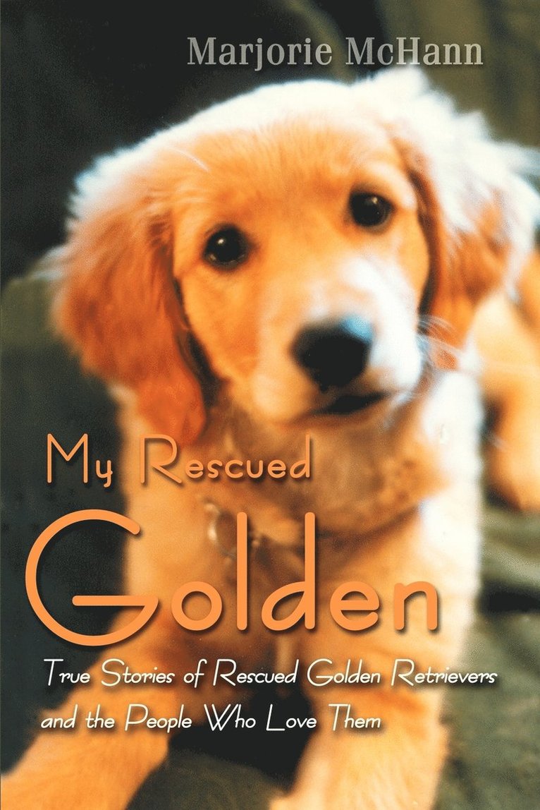 My Rescued Golden 1