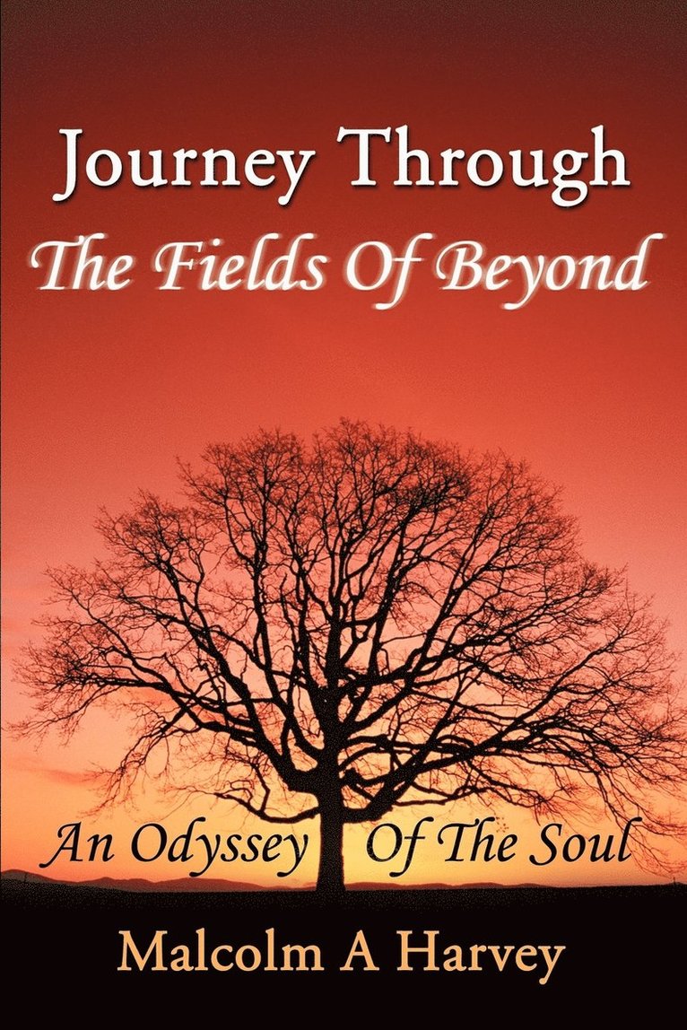 Journey Through The Fields Of Beyond 1