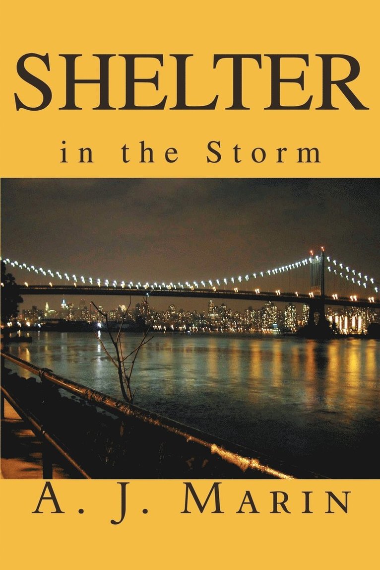 Shelter in the Storm 1