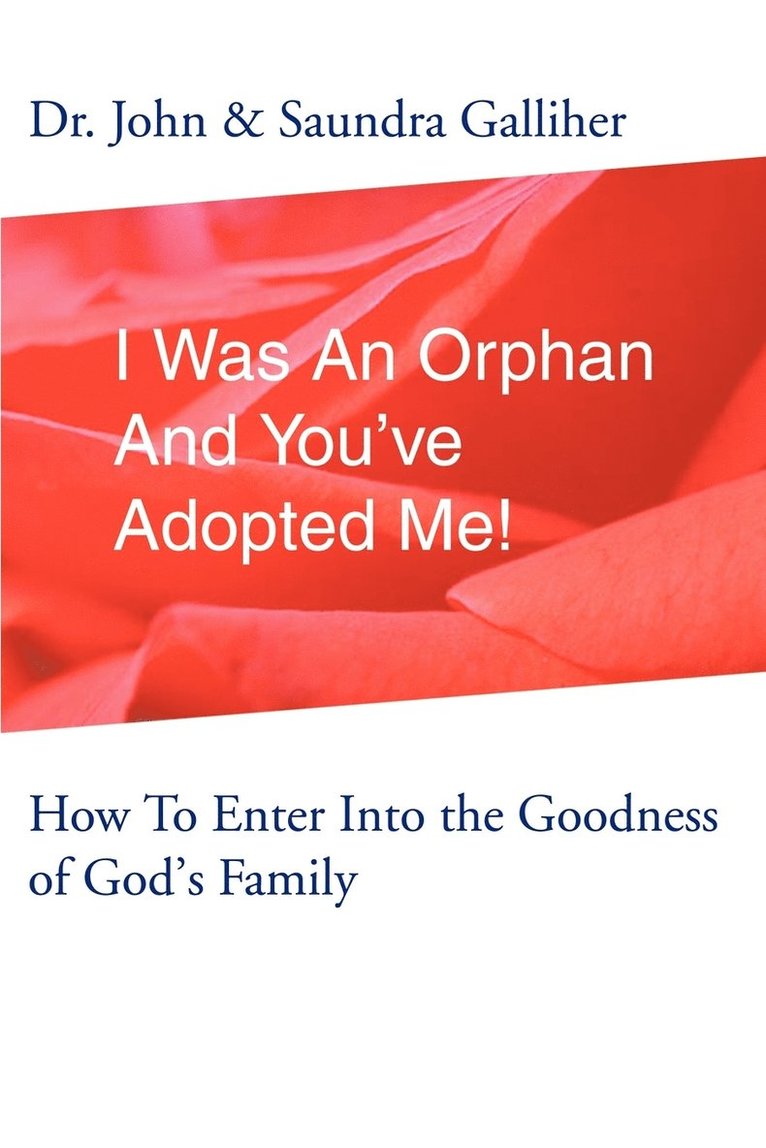 Ja Galliher - I Was an Orphan and You've Adopted Me!, Häftad