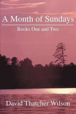 David T Wilson, David T. Wilson - Month of Sundays, Häftad