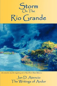 bokomslag Storm On The Rio Grande