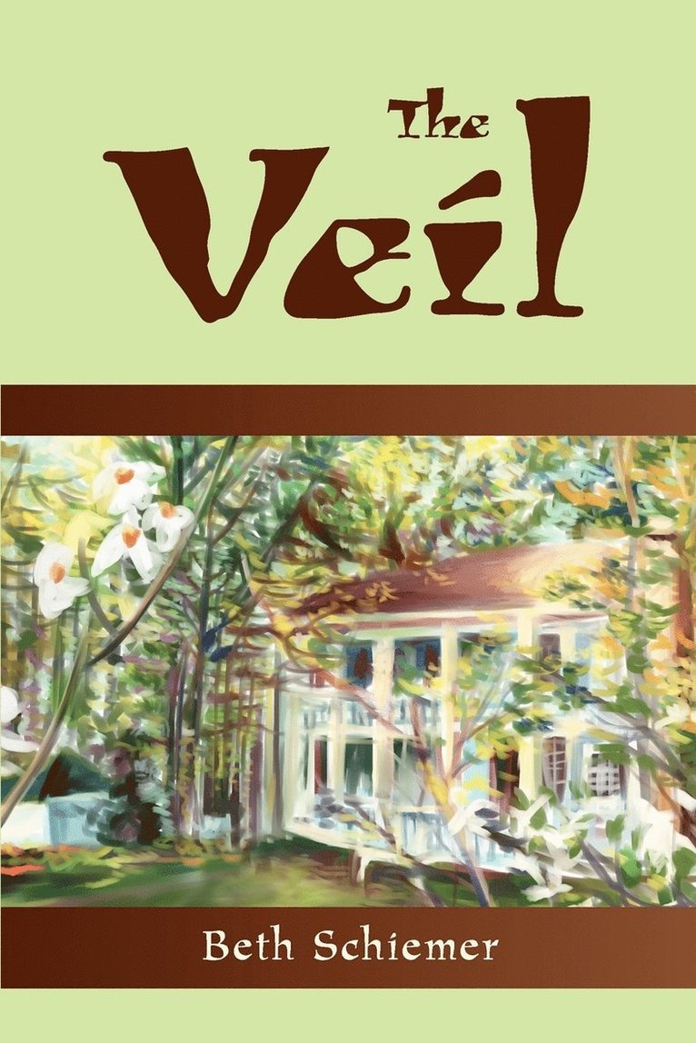 Beth Schiemer - Veil, Häftad